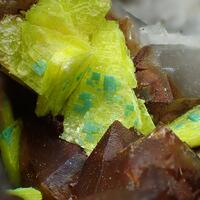 Uranocircite & Torbernite