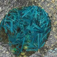 Connellite