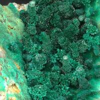 Ludjibaite & Pseudomalachite