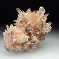 Creedite