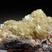 eShop-Minerals: 23 Nov - 29 Nov 2023