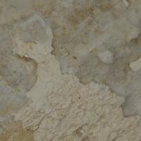 Monetite & Newberyite
