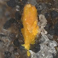 Boltwoodite