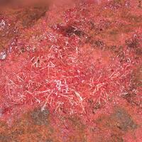 Chalcotrichite