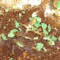 Zeunerite