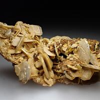 Wulfenite