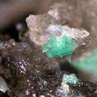 Metatorbernite