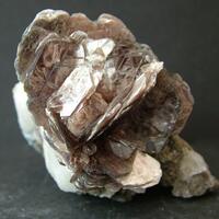 Muscovite