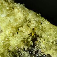 Bayleyite