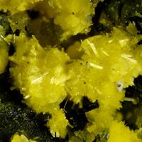 Uranopilite