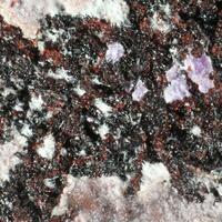 Lipuite & Sugilite