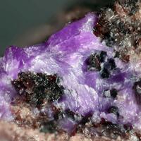 Lipuite & Sugilite