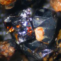 Priderite