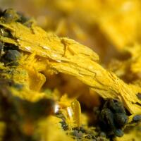 Guilleminite Psm Rutherfordine & Kasolite