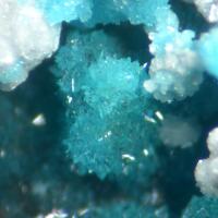 Turquoise Chlorargyrite & Perhamite