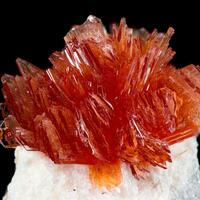 Montgomeryite