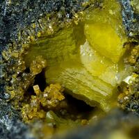 Hydrotungstite