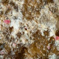 Wendwilsonite & Fluckite