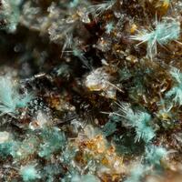 Edwardsite & Niedermayrite