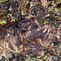 Steenstrupine-(Ce) Raite & Eudialyte