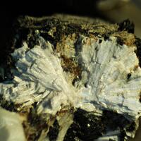 Adamsite-(Y)