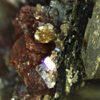 Petarasite