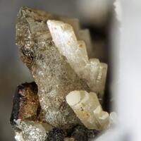 Burbankite