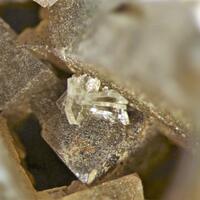 Sabinaite & Siderite