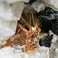 Astrophyllite