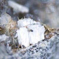 Sazhinite