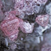 Eudialyte