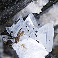 Eudidymite Sérandite Psm & Aegirine