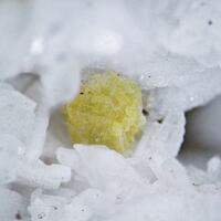 Thomasclarkite-(Y) & Calcioburbankite