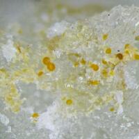Cacoxenite