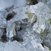 Haineaultite