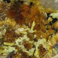 Beraunite Rockbridgeite & Stewartite