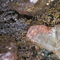 Copper & Cerussite