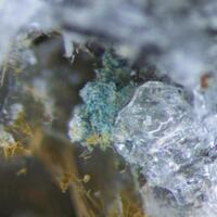 Amphibole & Tuperssuatsiaite