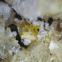 Thomasclarkite-(Y) & Zircon