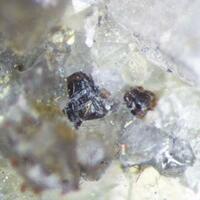Neighborite & Quartz