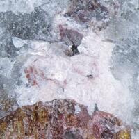 Epistolite & Eudialyte