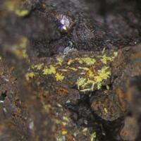 Namibite Khorixasite Cornetite & Clinobisvanite