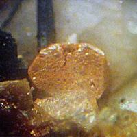 Dalyite