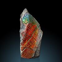 Ammolite