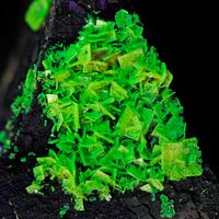 Autunite