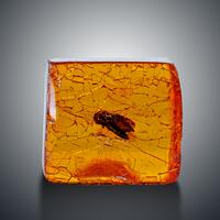 Amber