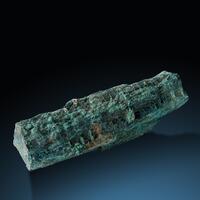 Petrified Wood
