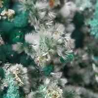 Olivenite & Conichalcite