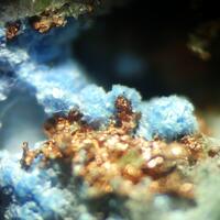 Cyanotrichite & Copper