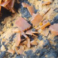 Wulfenite